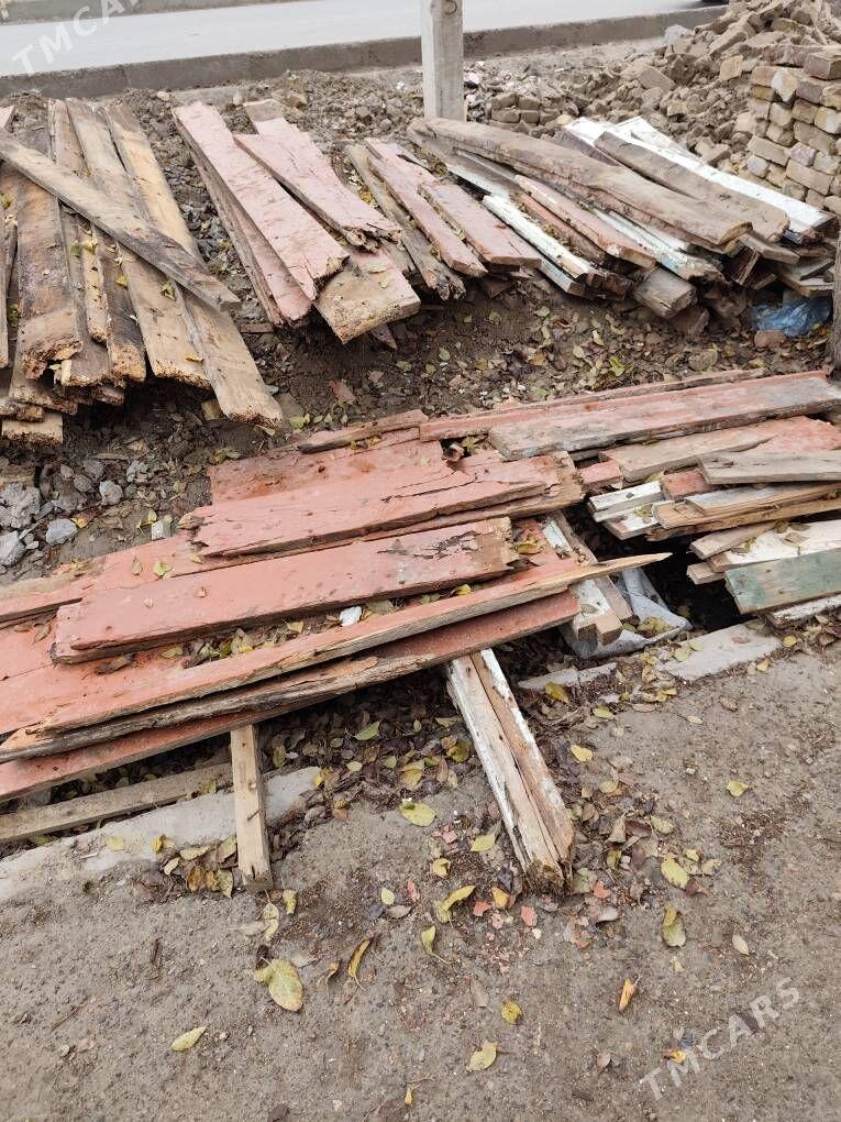 ağaç - Mary - img 1