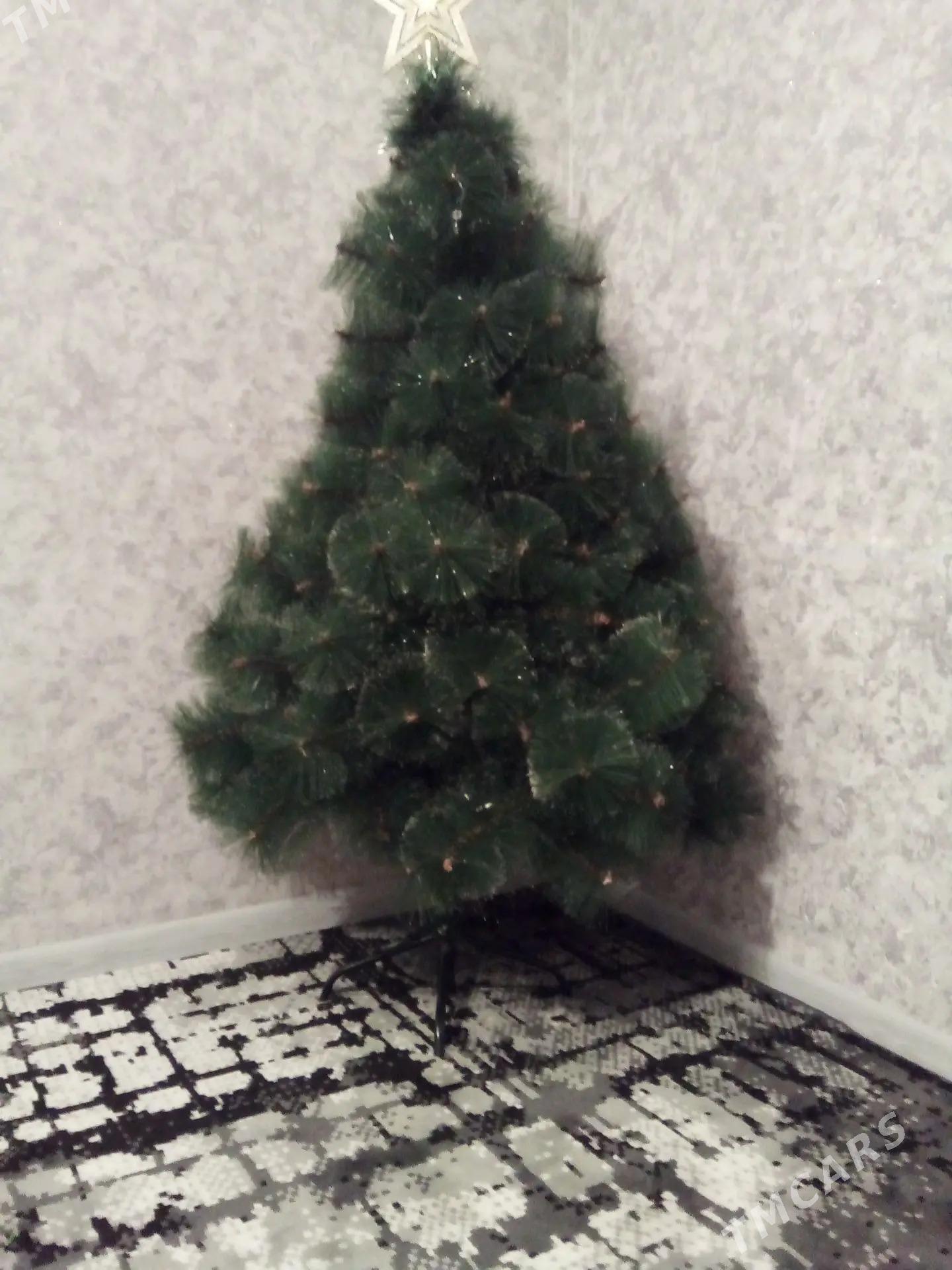 ýolka - Ашхабад - img 1