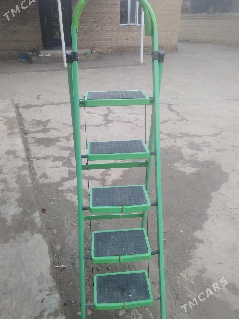 merdıwan lesınısse - Mary - img 1