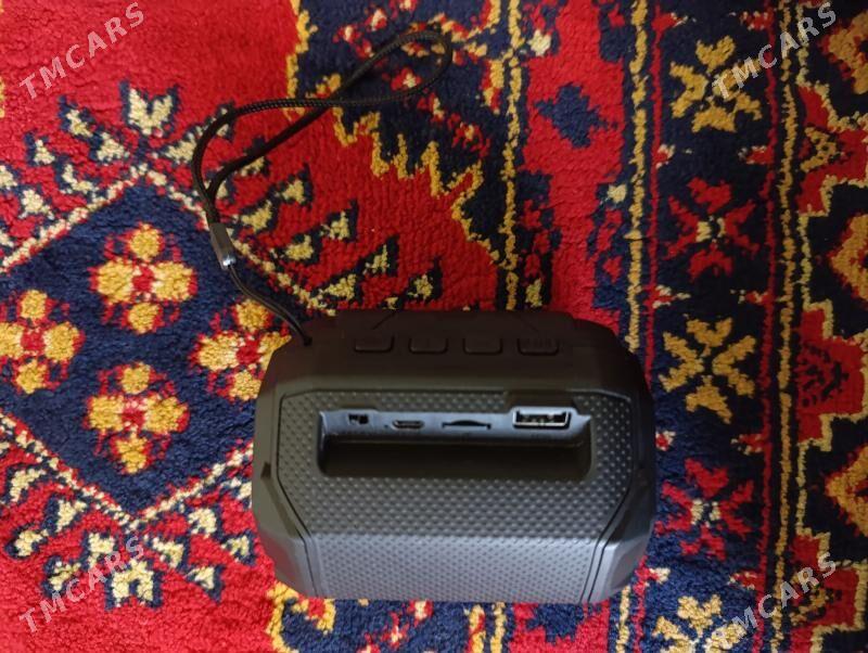 KALONKA ÇYRALY TÄZEJE - Mary - img 1