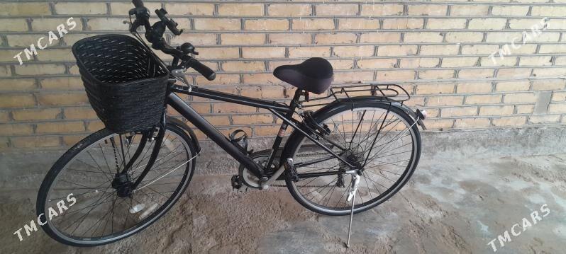 27_lik welsoped - Мургап - img 1