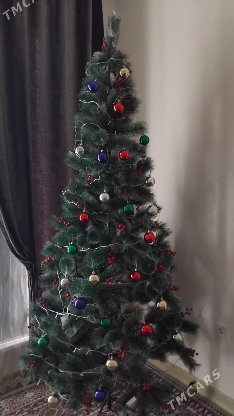 Arca Yolka Taze yyl - Arkadag - img 1