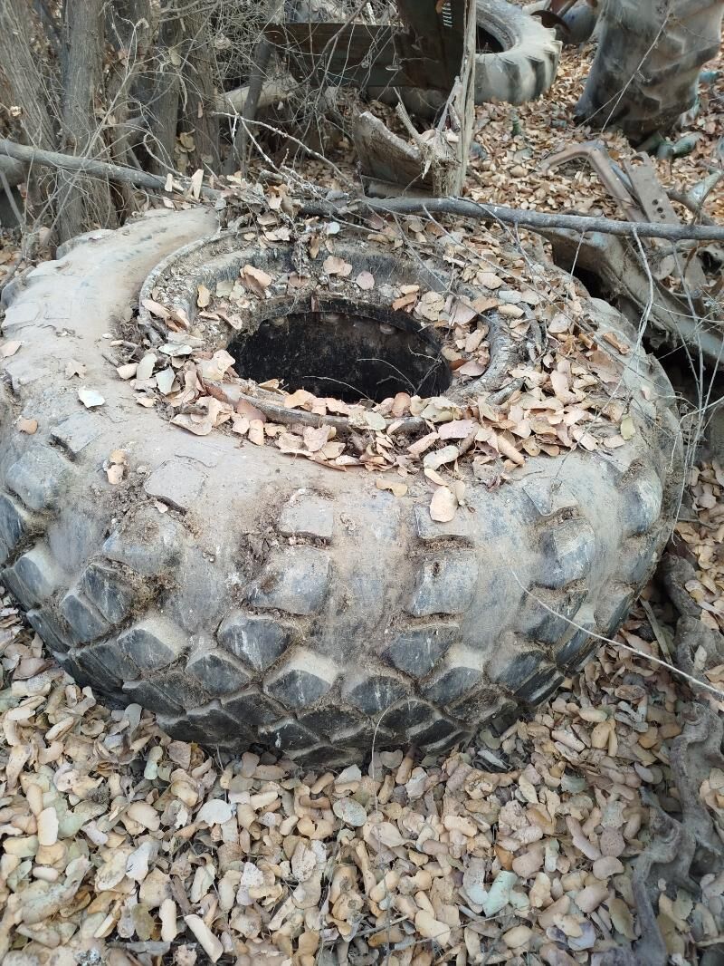 Traktor tekerler 5 000 TMT - Daşoguz - img 1