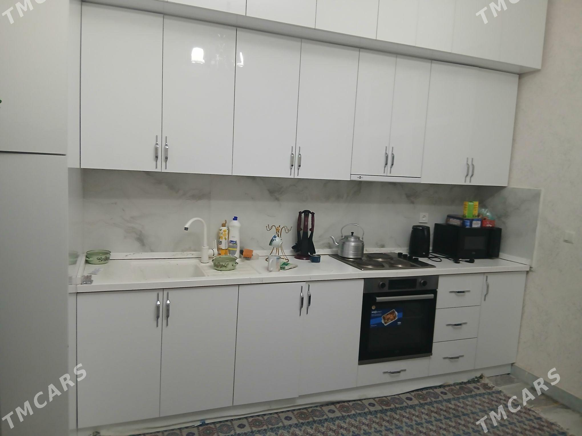 Gurtly jay - Gurtly - img 1