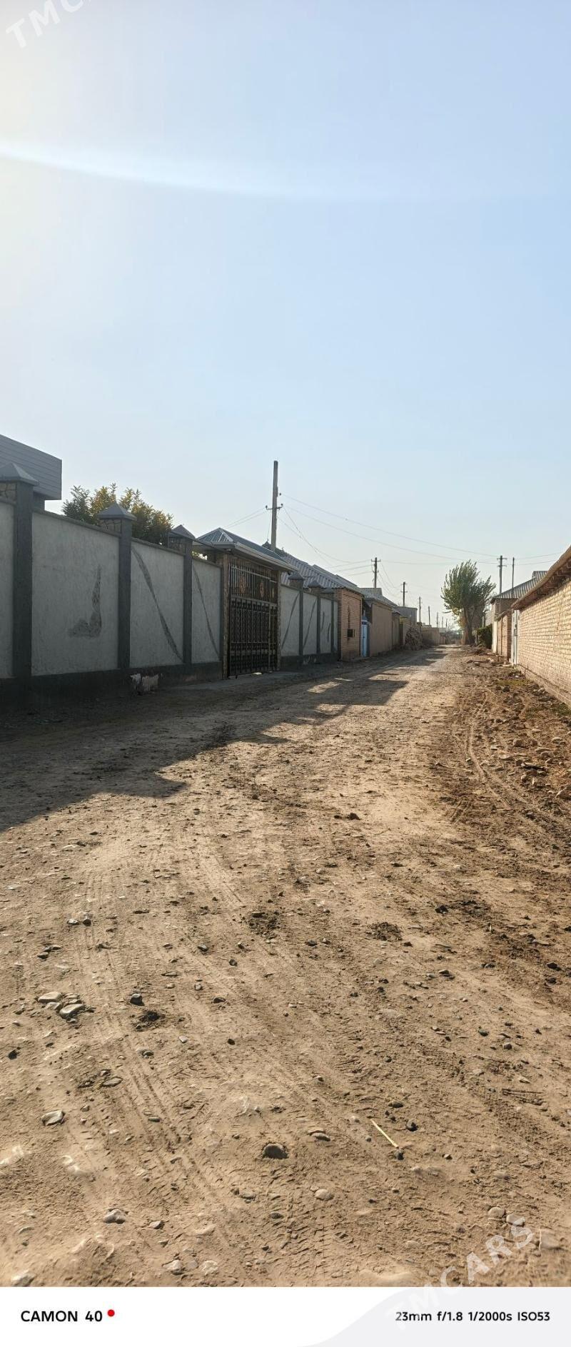 Bidyoni daca - Мары - img 1