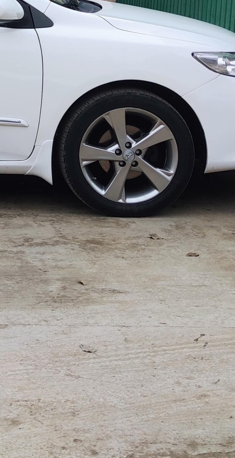 exclusive disga 17 lik 5 000 TMT - Ak bugdaý etraby - img 1