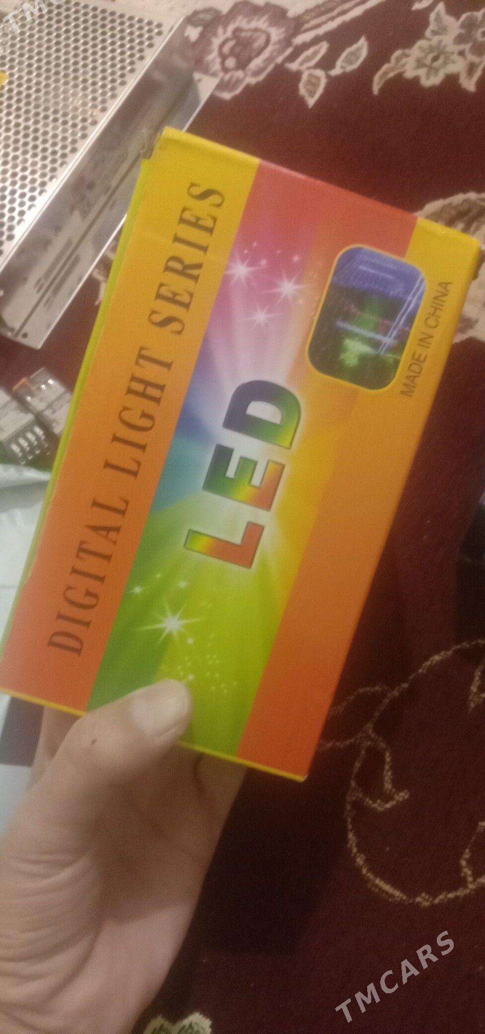 Arça bezeg çyralar - Gurtly - img 1