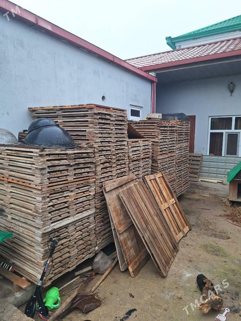 Paddon palata u.n - Büzmeýin - img 1