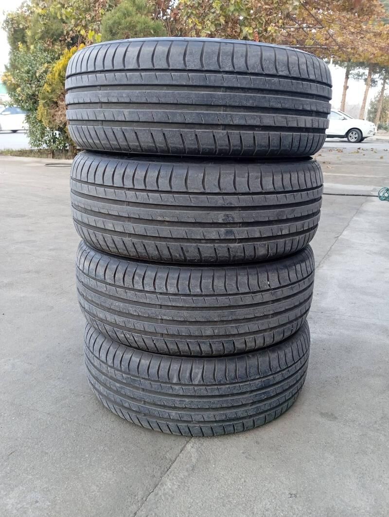 Pakryşga 215,55,17 2024 ý 1 800 TMT - Бедев - img 1