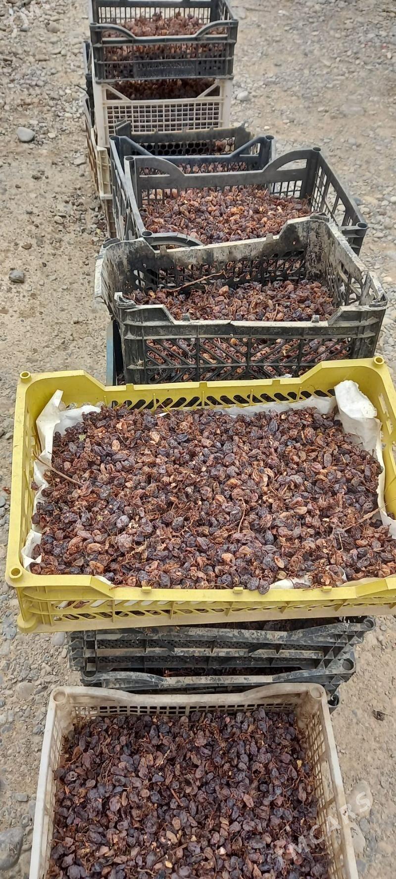 Mal la im kişmiş - Яшлык - img 1