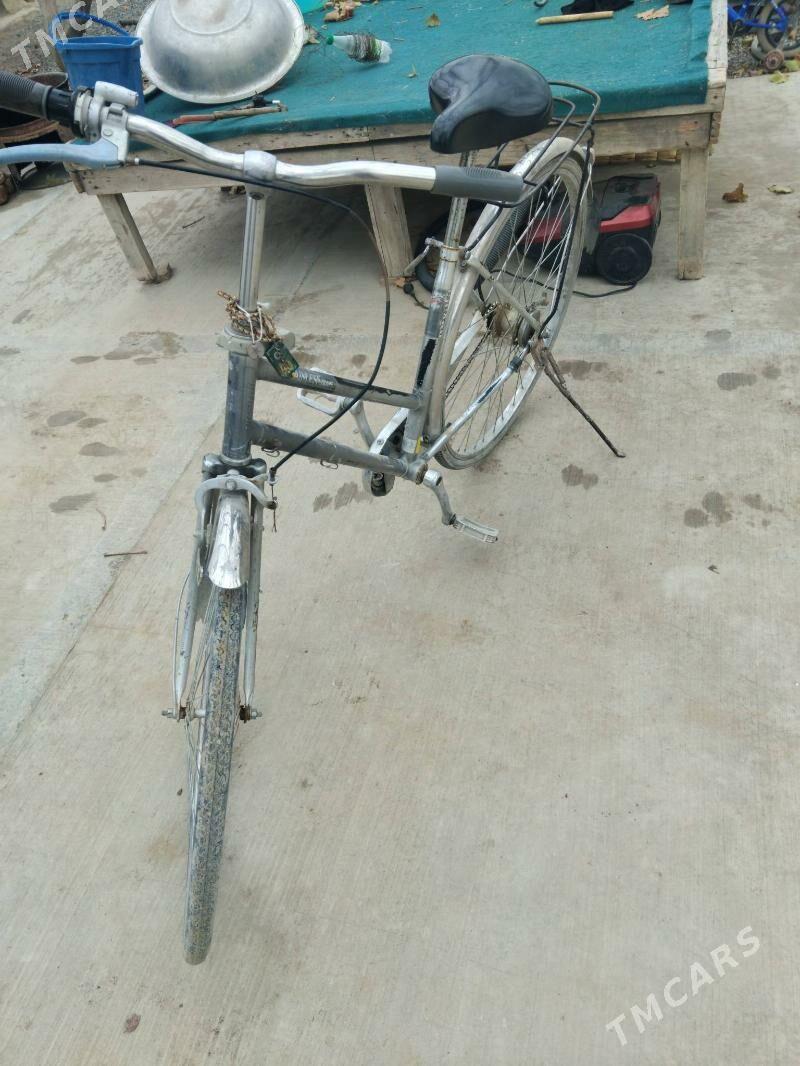 tigir - Bäherden - img 1