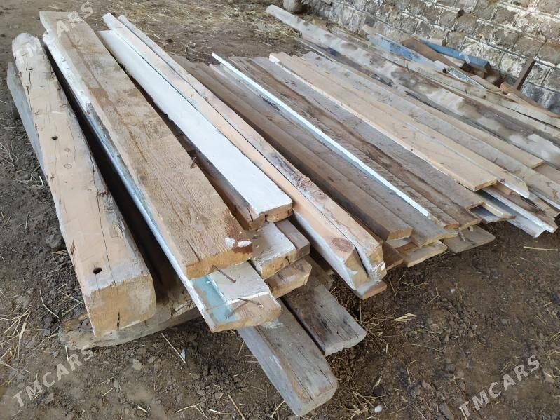 Agaç - Mary - img 1