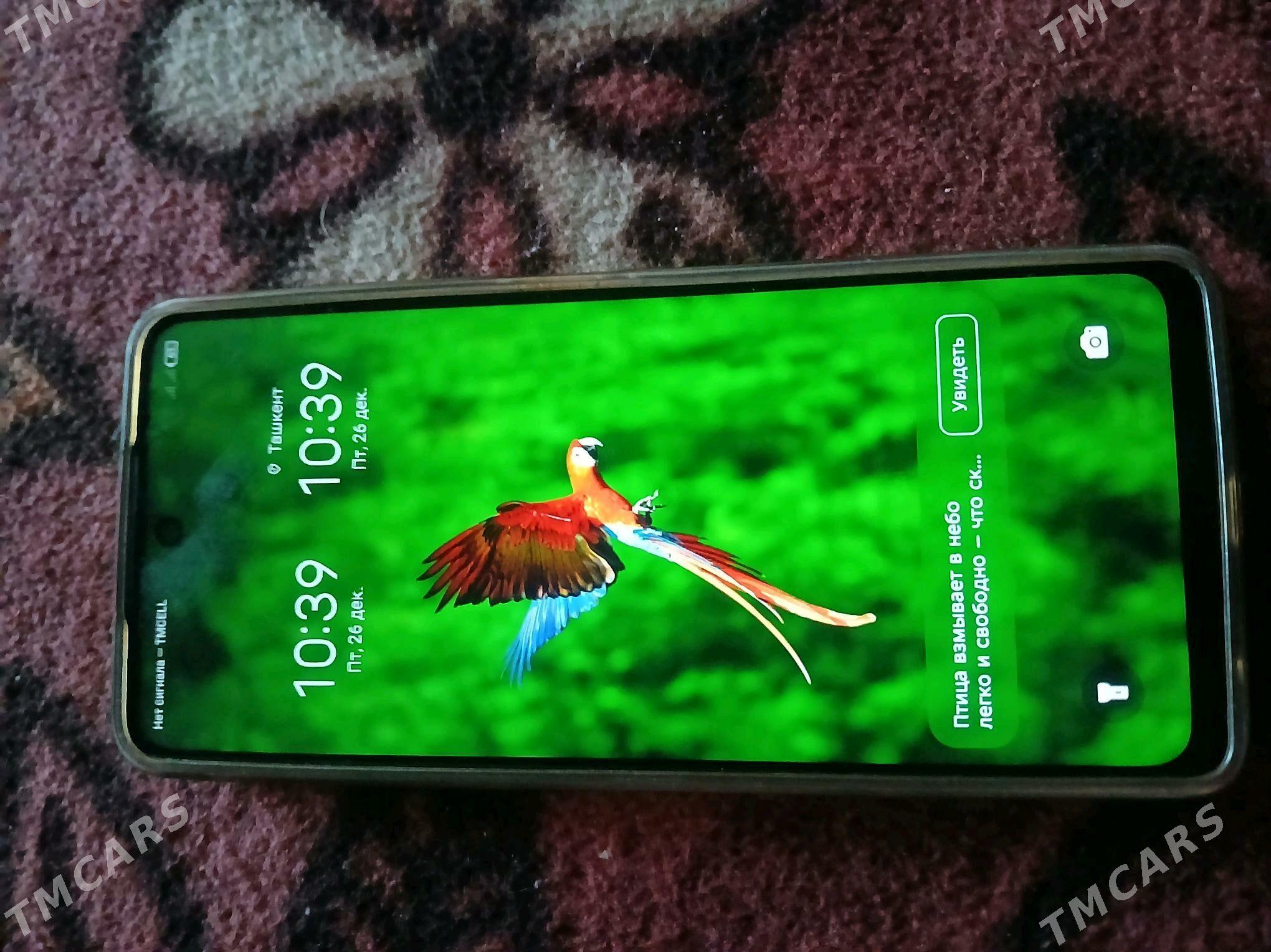 tecno spark 10 pro - Daşoguz - img 1