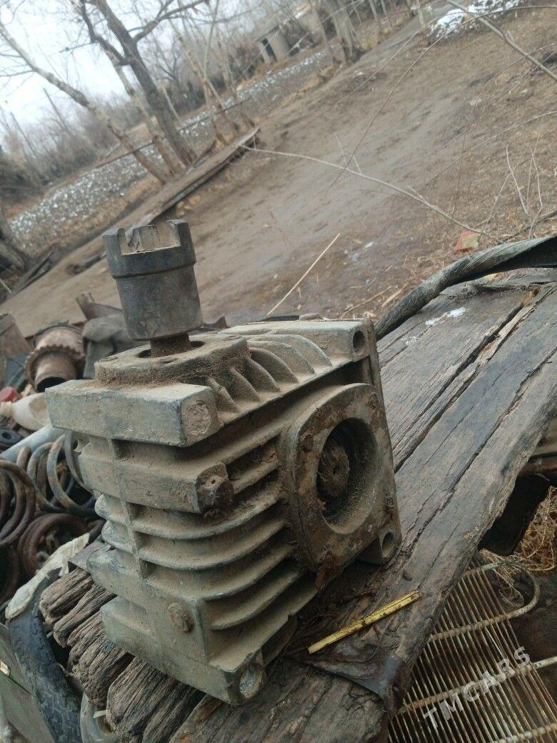 taly - Gubadag - img 1