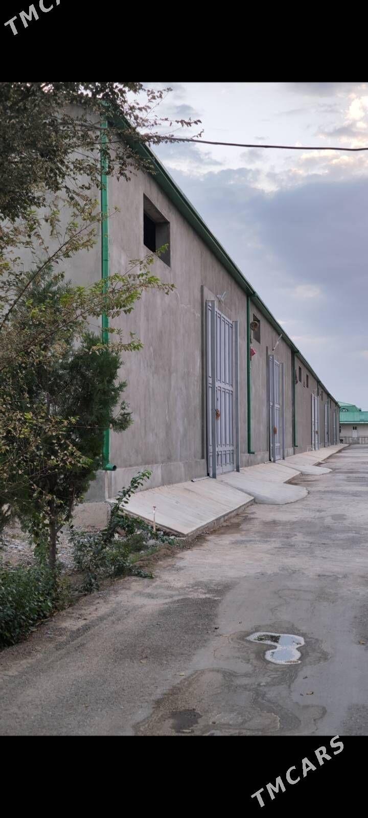 gyssagly ambar skladlar - Анев - img 1