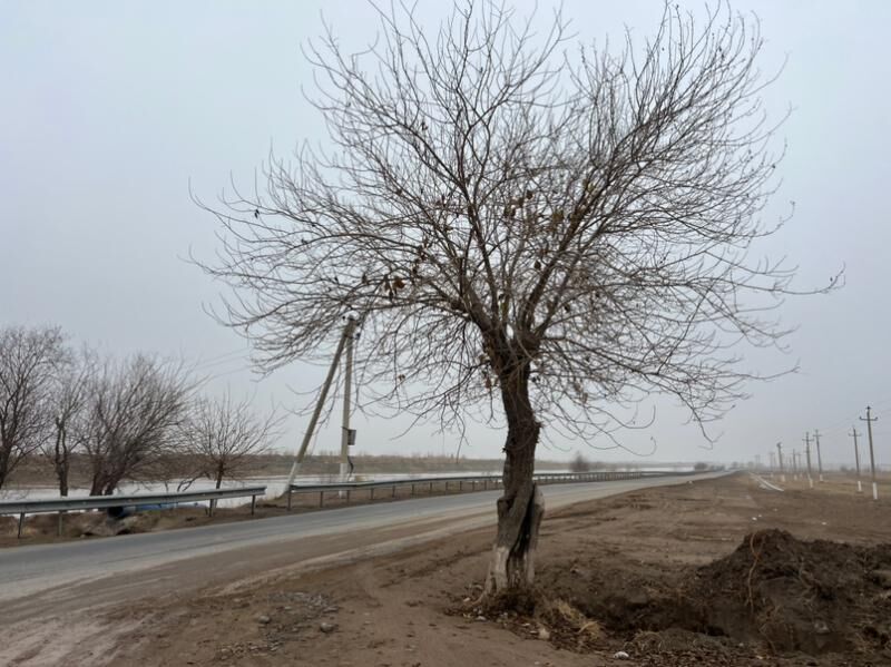 Daça Ayraport - Мары - img 1