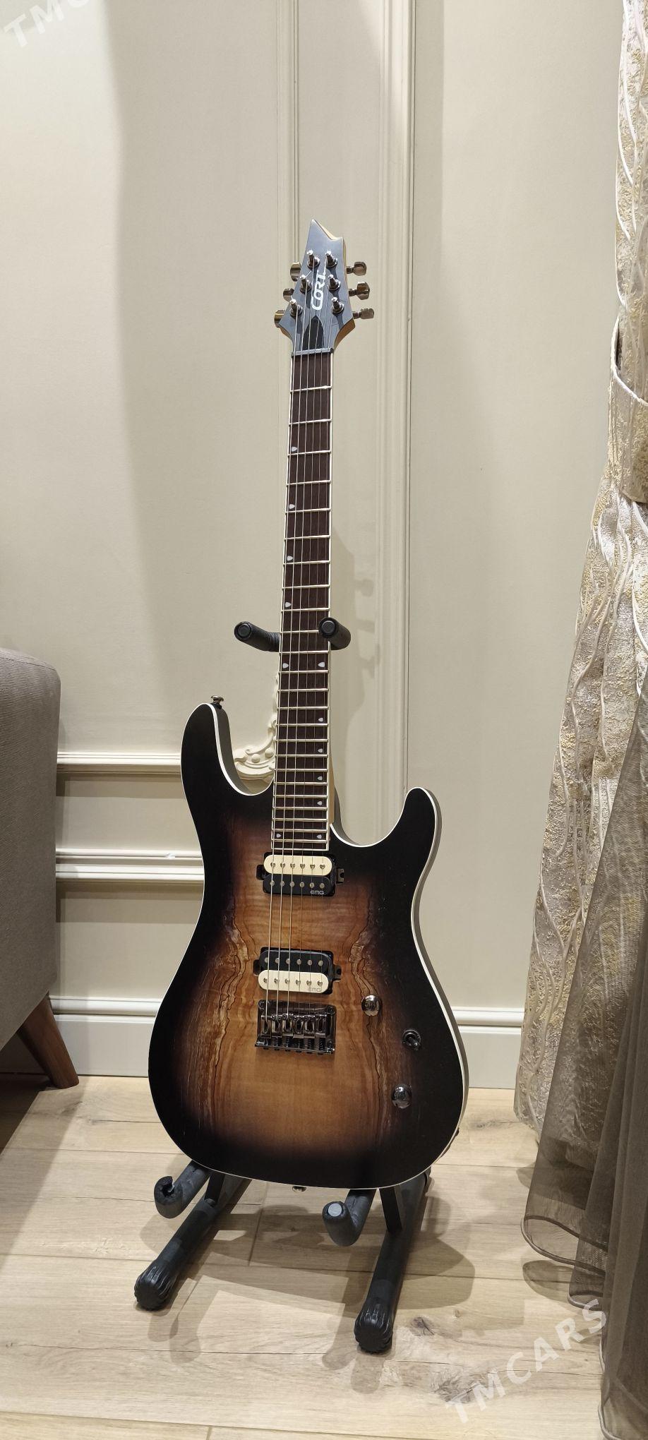 Gitara Гитара - Ашхабад - img 1