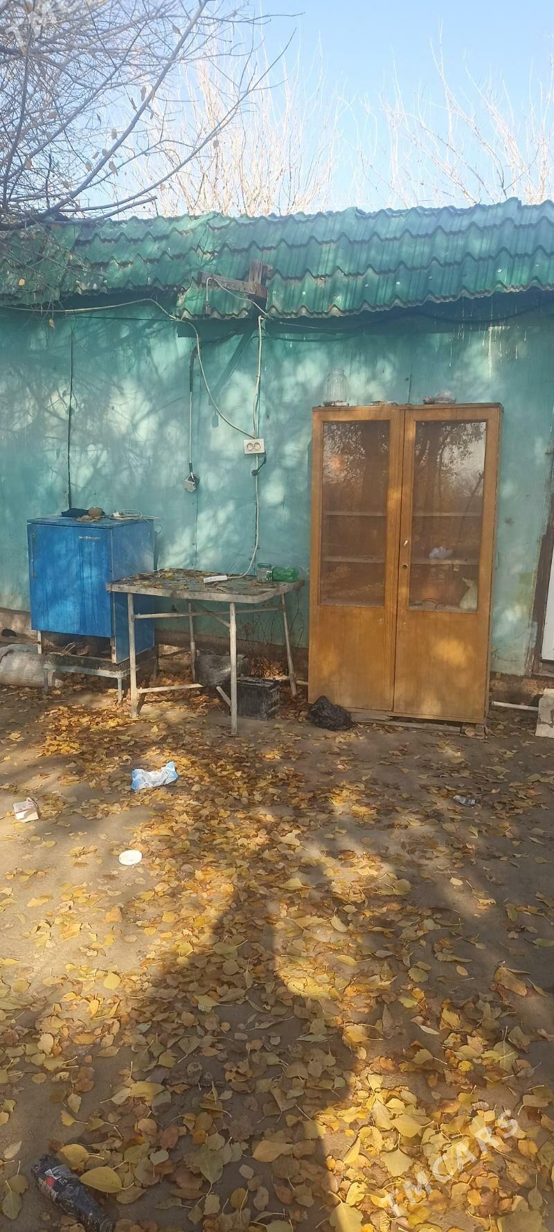 wagon - Анев - img 1