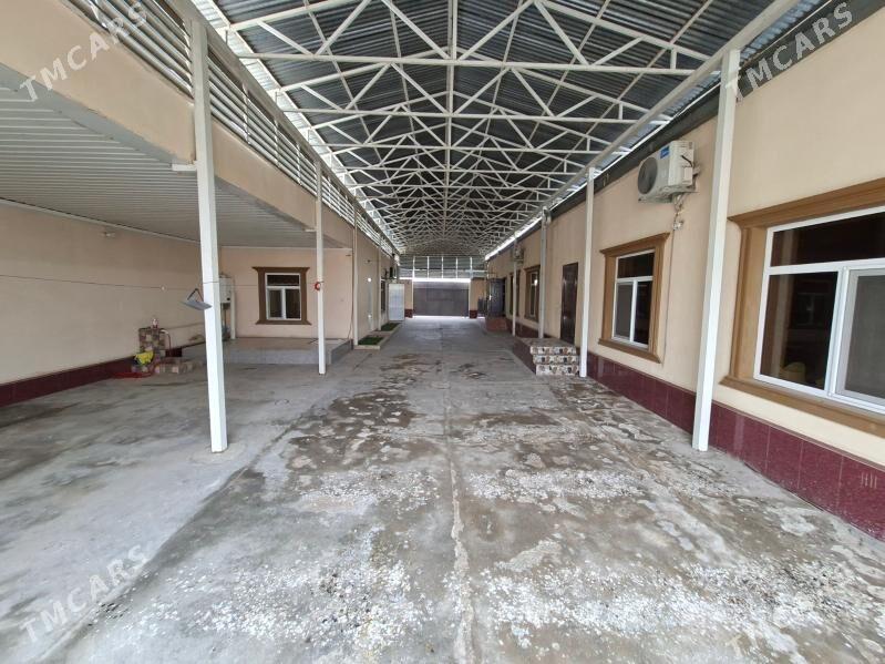 Satlyk jay - Мары - img 1