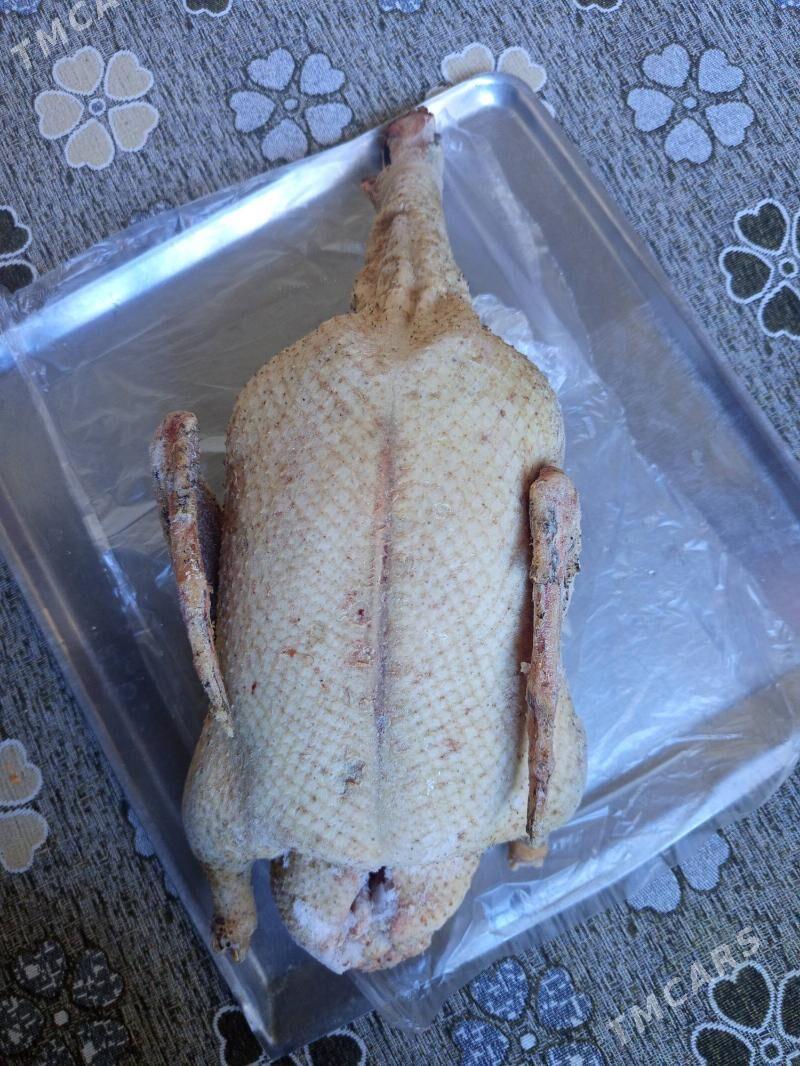 ördek - Балканабат - img 1