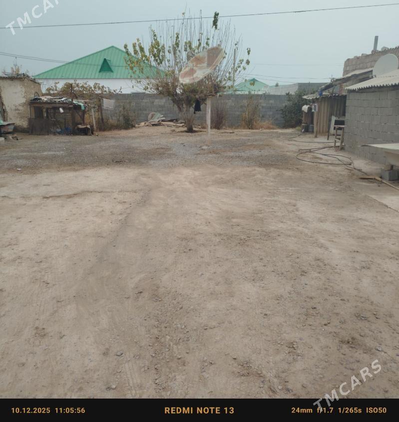 Bagyr mellek - Ашхабад - img 1