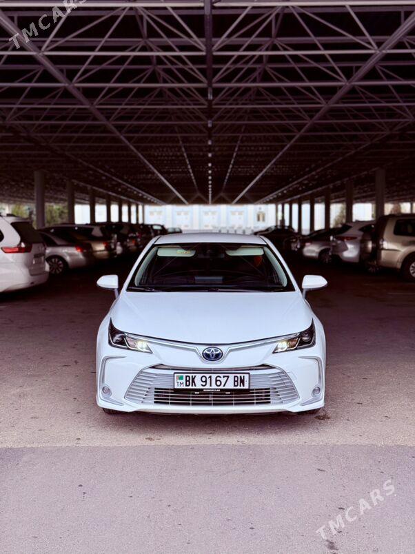 Toyota Corolla 2021 - 272 000 TMT - Туркменбаши - img 1