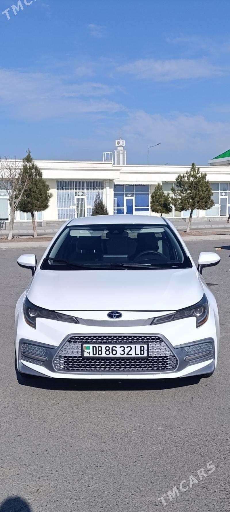 Toyota Corolla 2020 - 245 000 TMT - Dänew - img 1