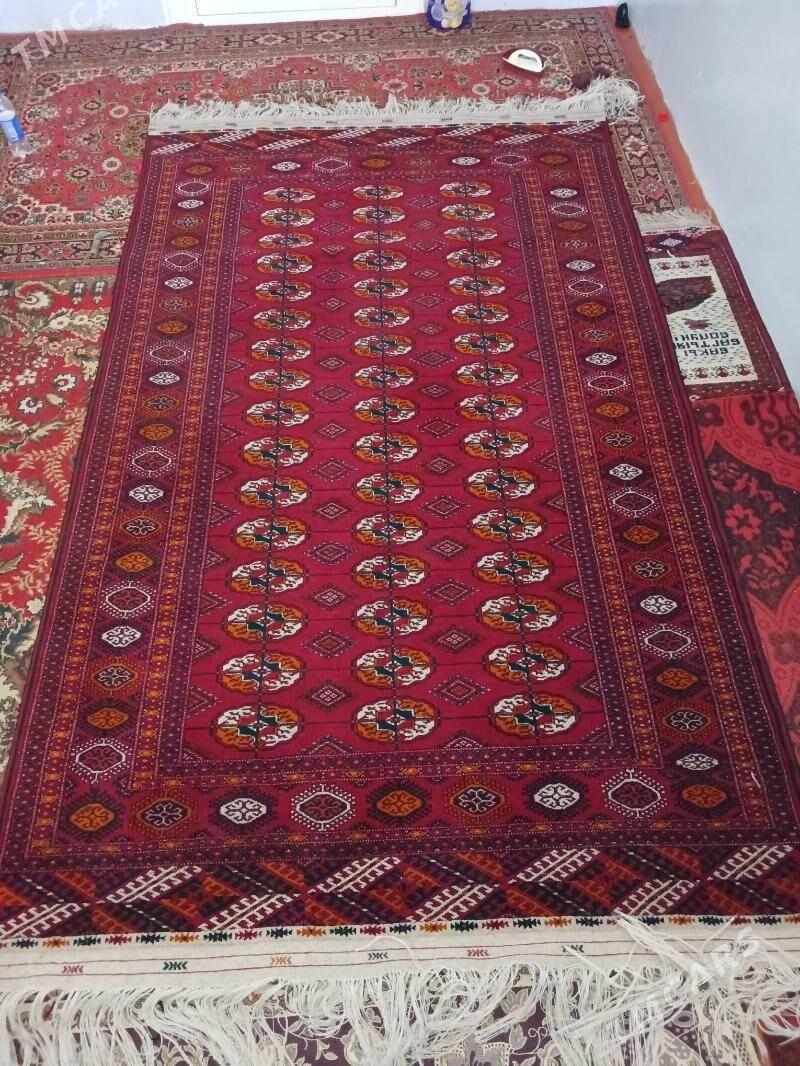 el haly - Bäherden - img 1