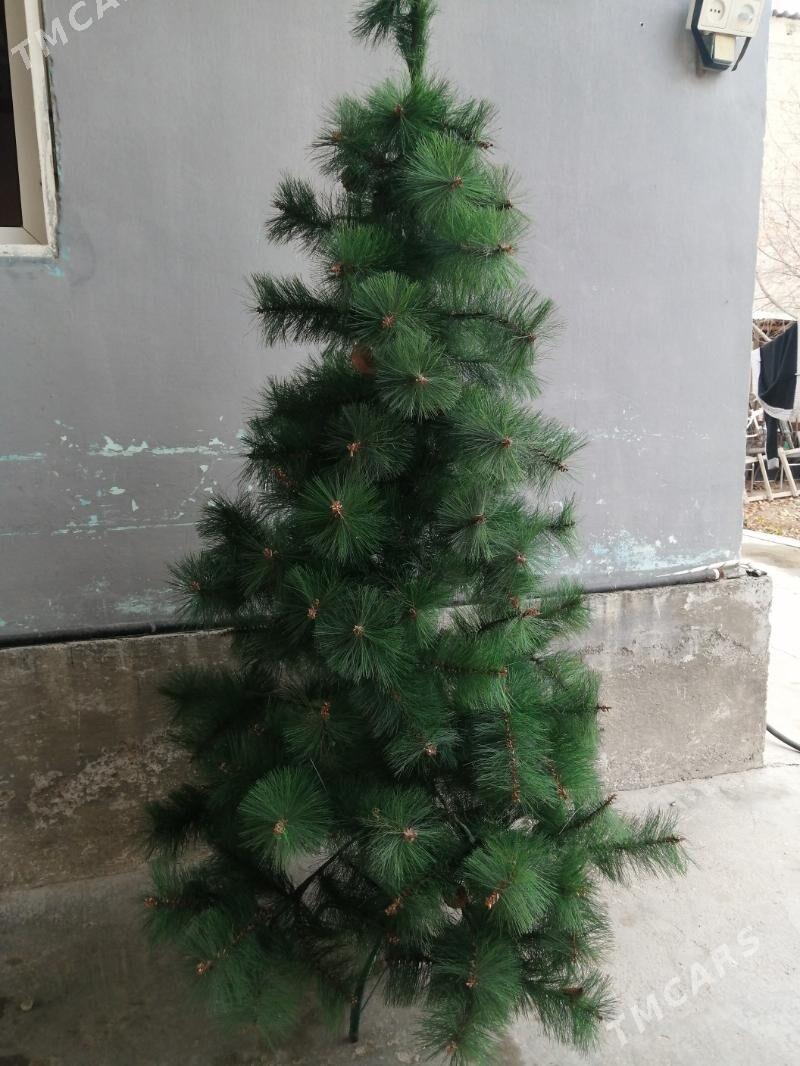 Yolka - Aşgabat - img 1