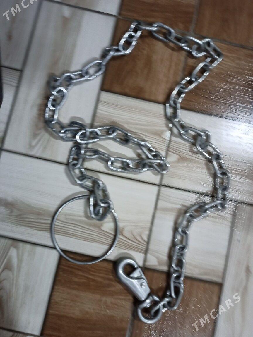 zynjyr it üçin - Дашогуз - img 1