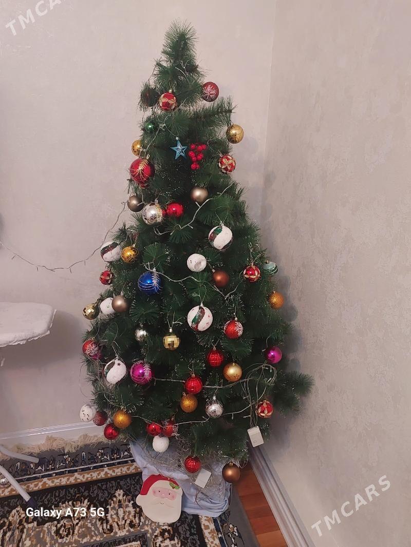 yolka - Ашхабад - img 1