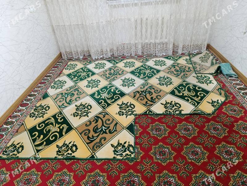 Haly - Хитровка - img 1