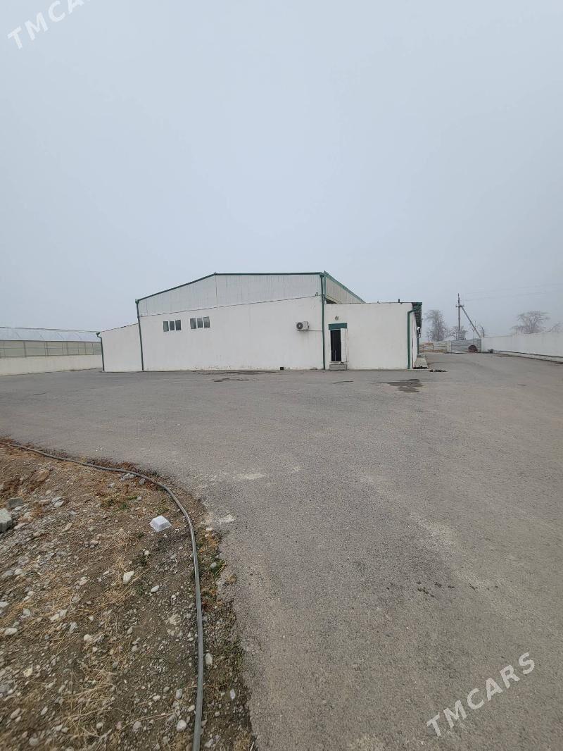 Anew onumcilik teplissa yerler - Änew - img 1