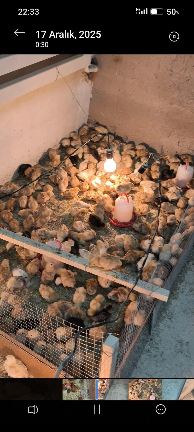 JUYJE - Шабатский этрап - img 1