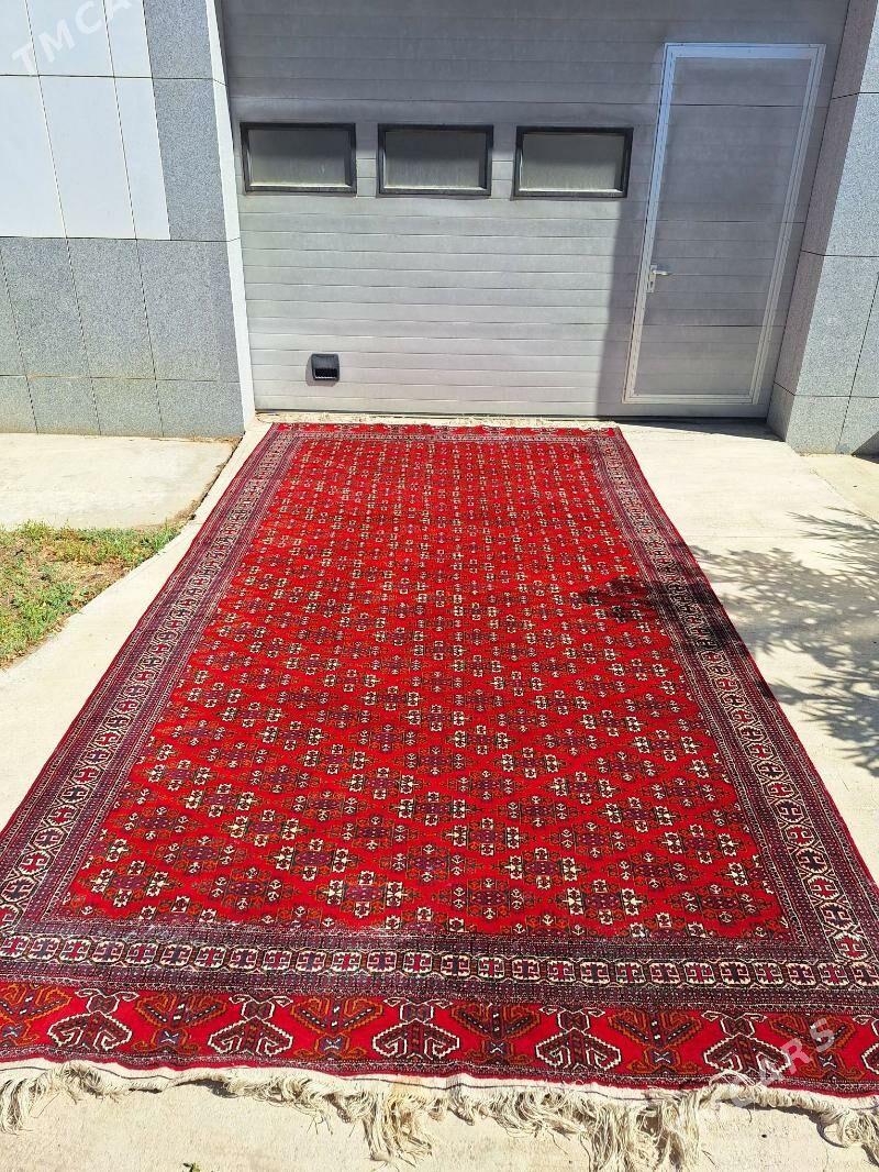 El haly - Ашхабад - img 1