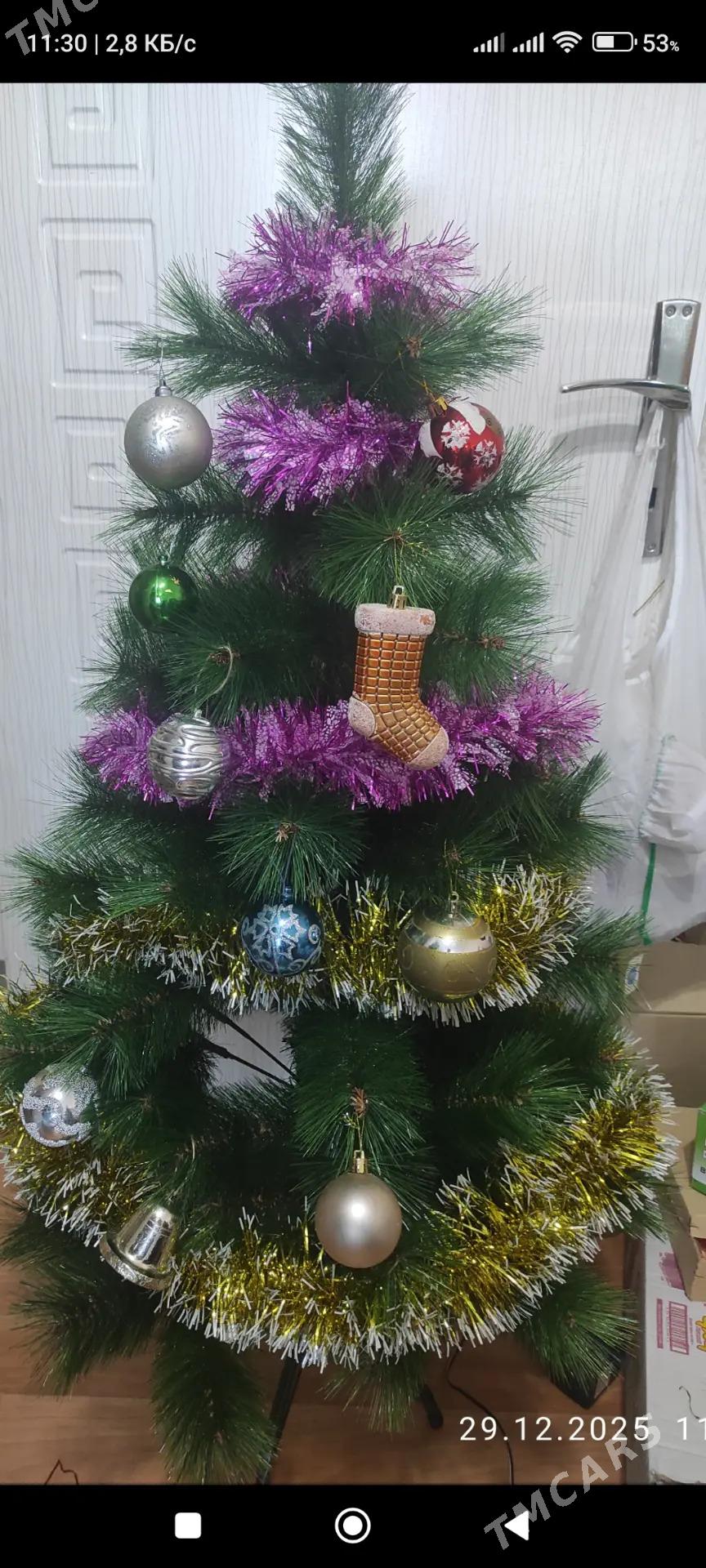 Ёлка 1.30 - Ашхабад - img 1