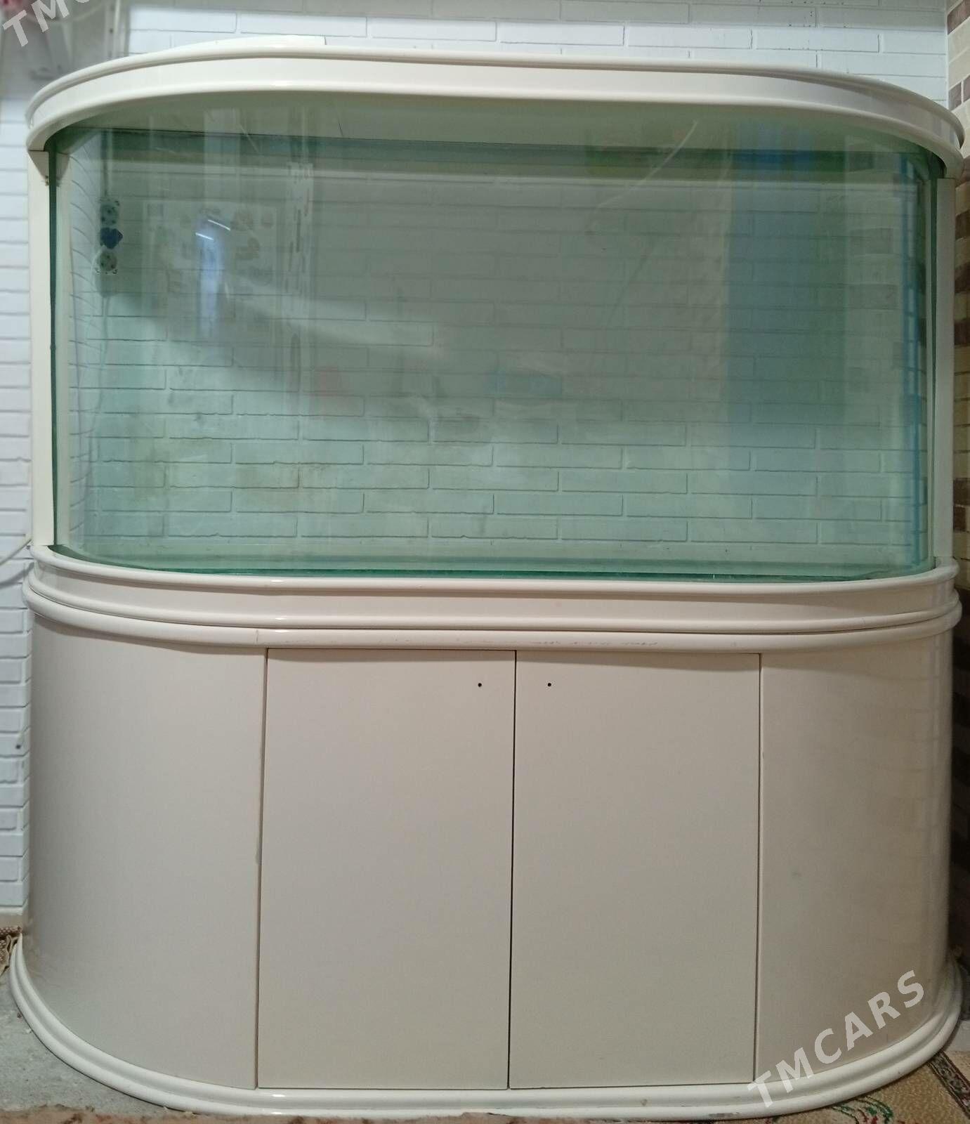 аквариум akwarium 500литров - Aşgabat - img 1