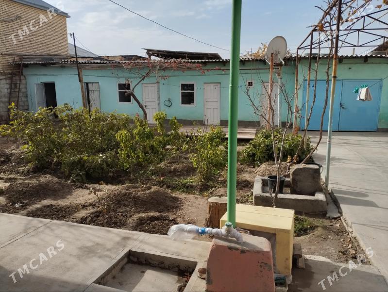 satlyk howly jay - Мары - img 1