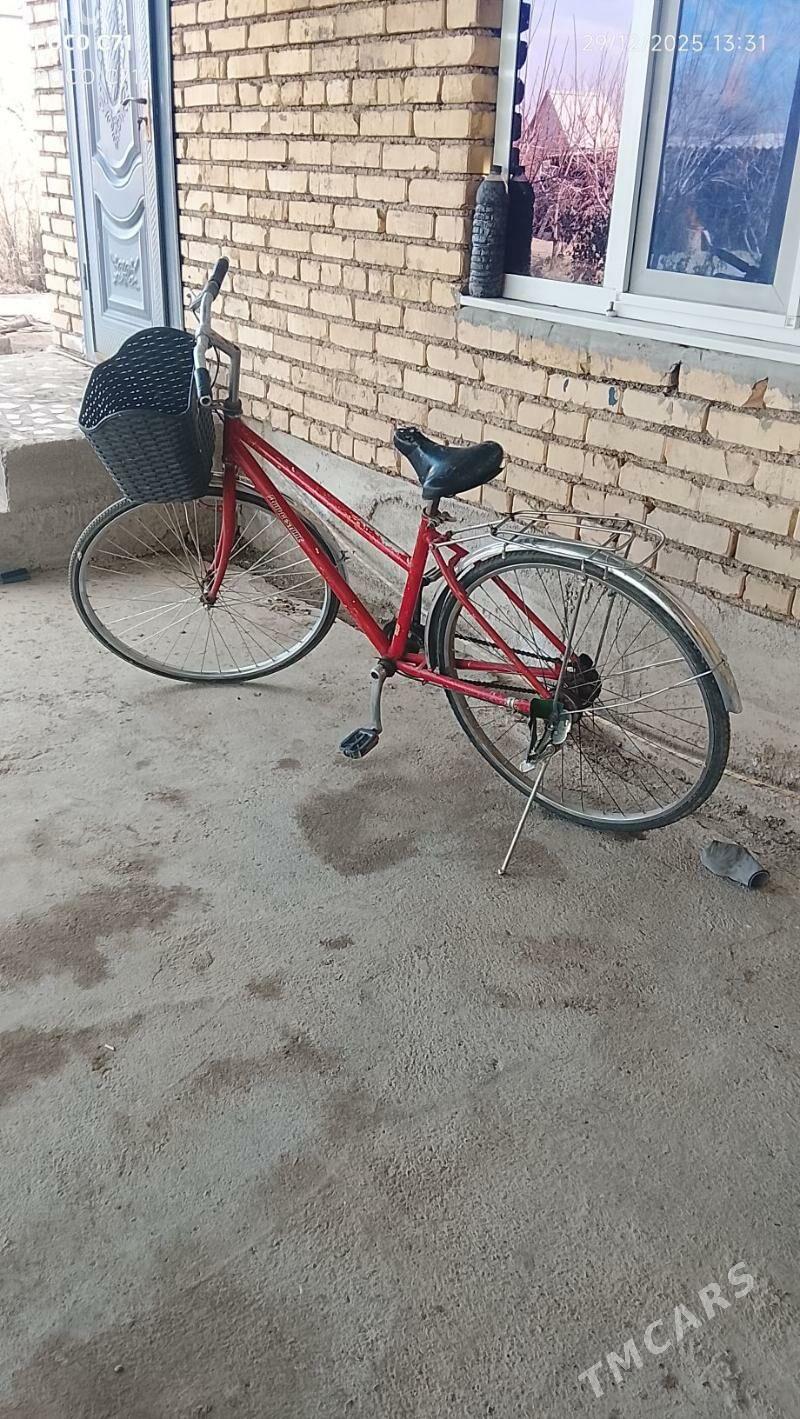 tigir - Kaka - img 1