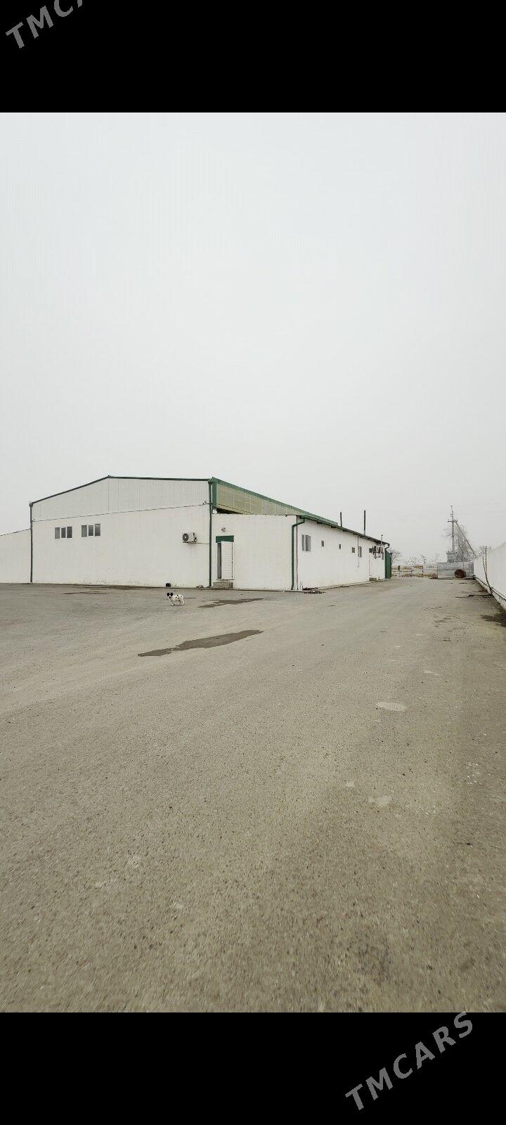 Anew suyt onum zawot 1 gektar - Анев - img 1