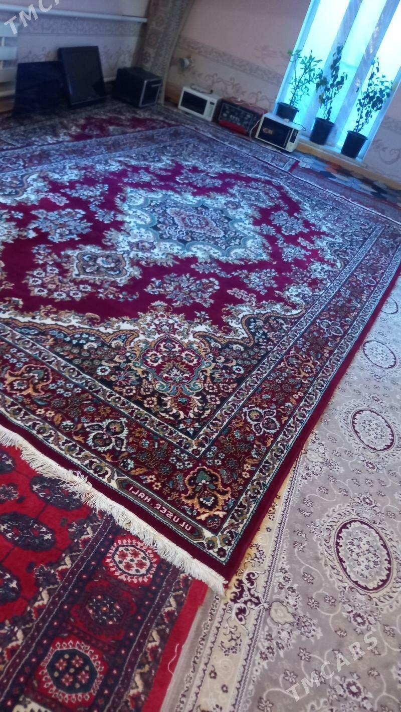 EYRAN TAZE 3×5 - Дашогуз - img 1