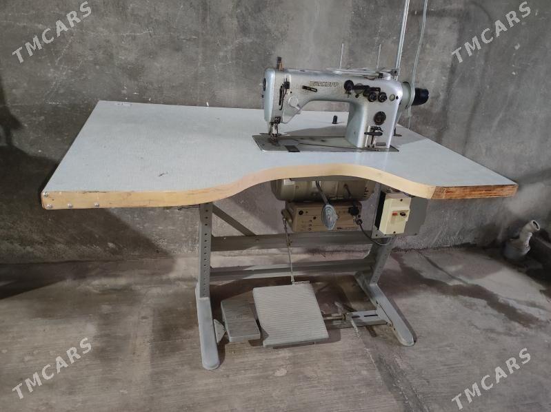 dikin masyn - Багир - img 1