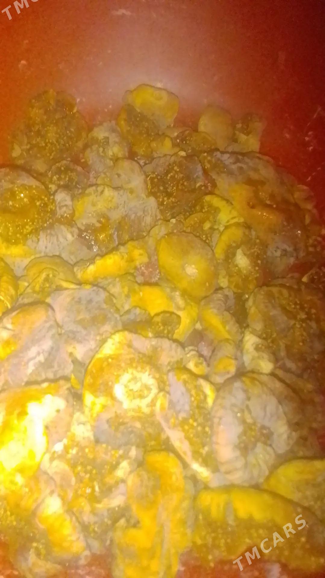 injir kak - Görogly (Tagta) - img 1