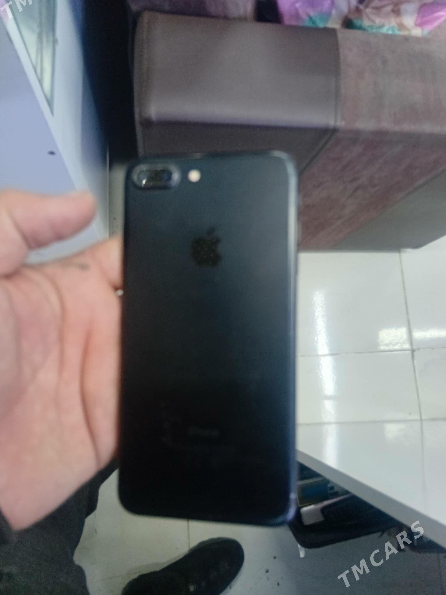 7++++++++ - Sakarçäge - img 1