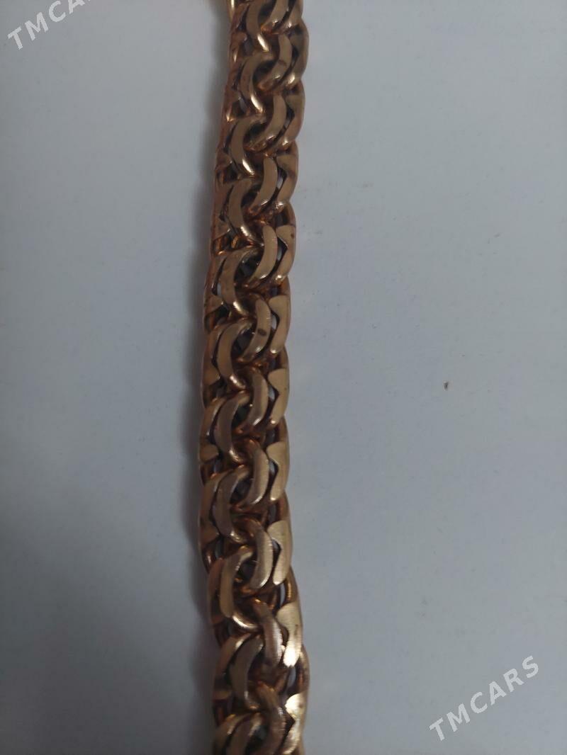 Cayylan kardinal - Howdan "B" - img 1