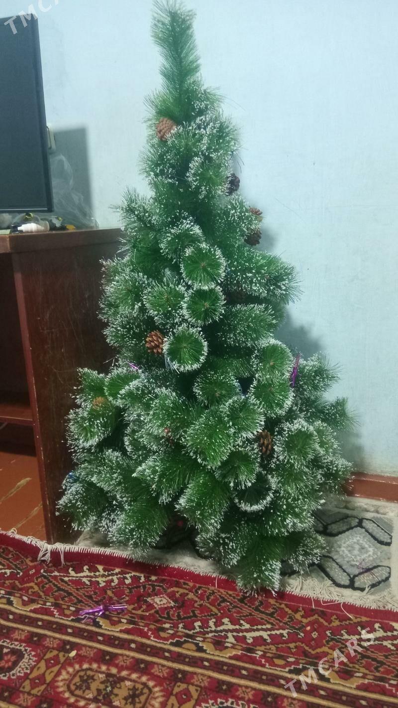 yolka - Türkmenbaşy - img 1