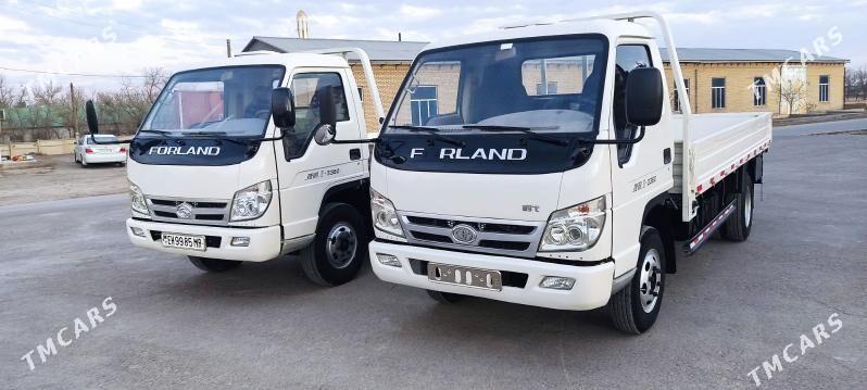 Forland H2 2013 - 125 000 TMT - Mary - img 1