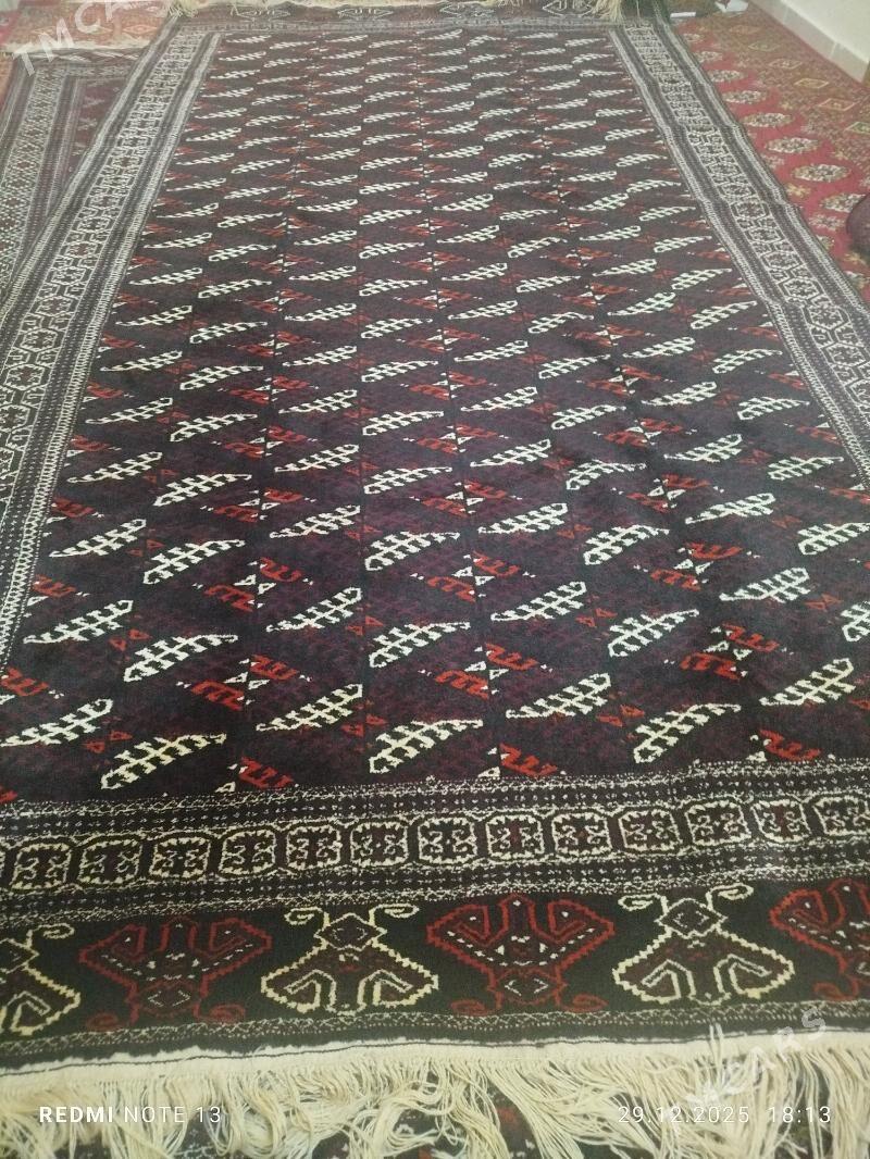 El haly - Ашхабад - img 1