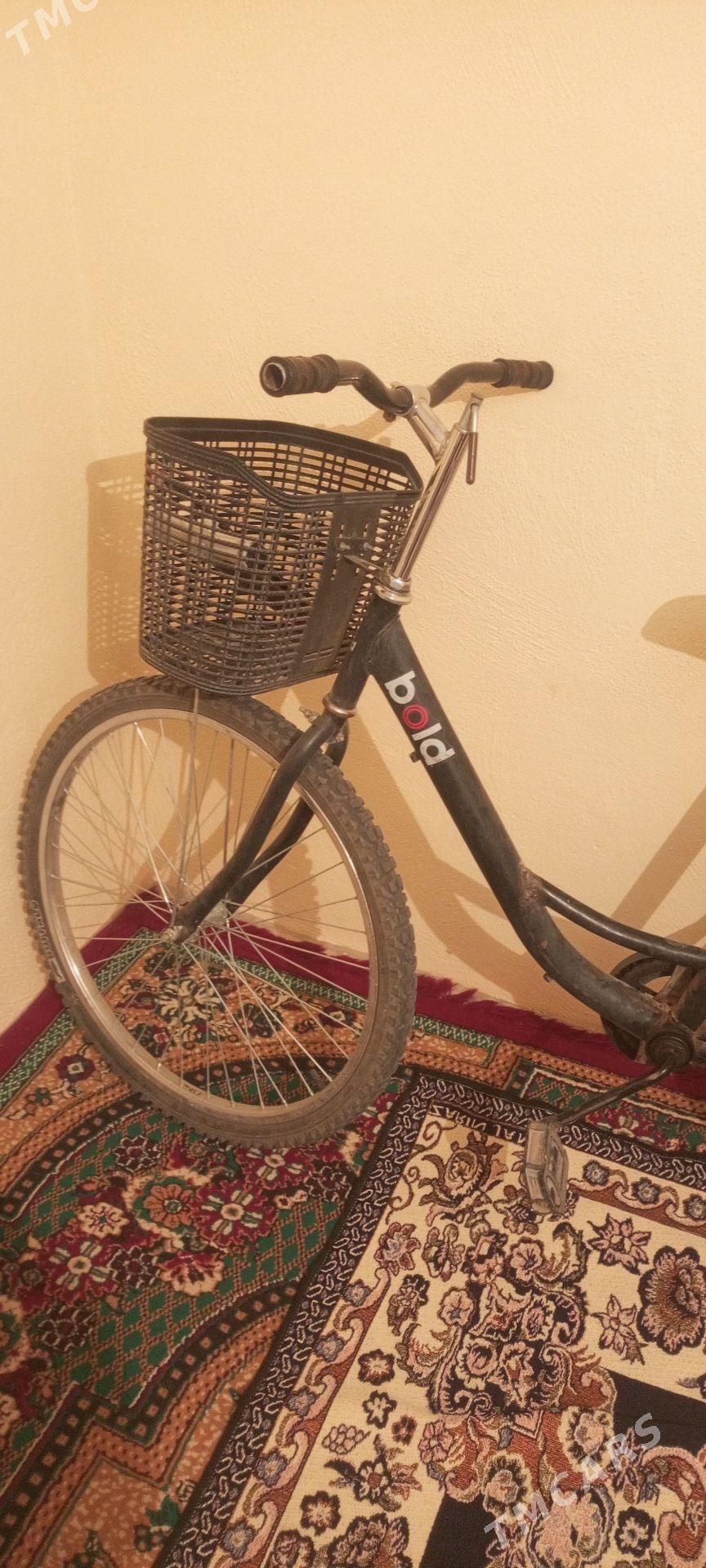 26 tigir - Херрикгала - img 1