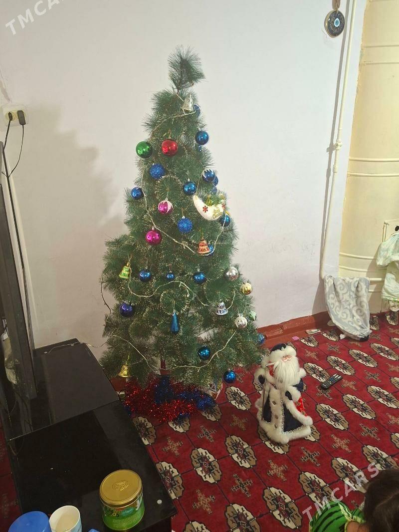 yolka - 30 мкр - img 1